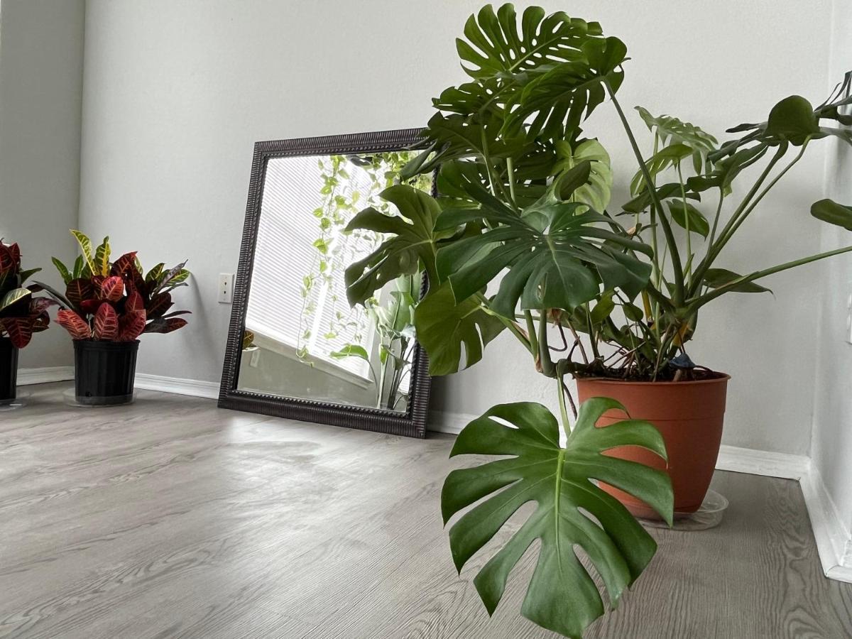 Next To Universal! 2Bedroom-2Bath-Many Indoor Plants Orlando Exteriör bild